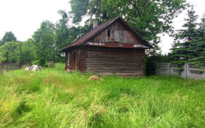 Discovering ancestral homeland