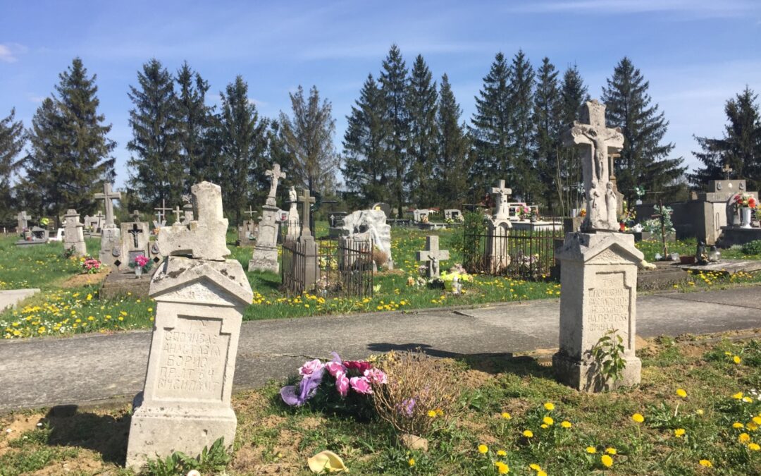 David – Sturgeon County