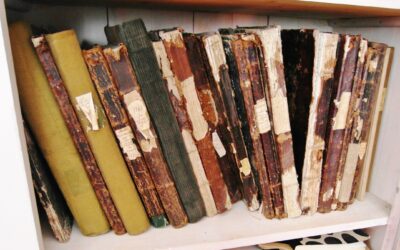 Zieliniec, Greater Poland