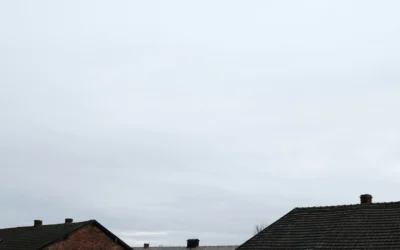 Concentration camp Facts & Definitions