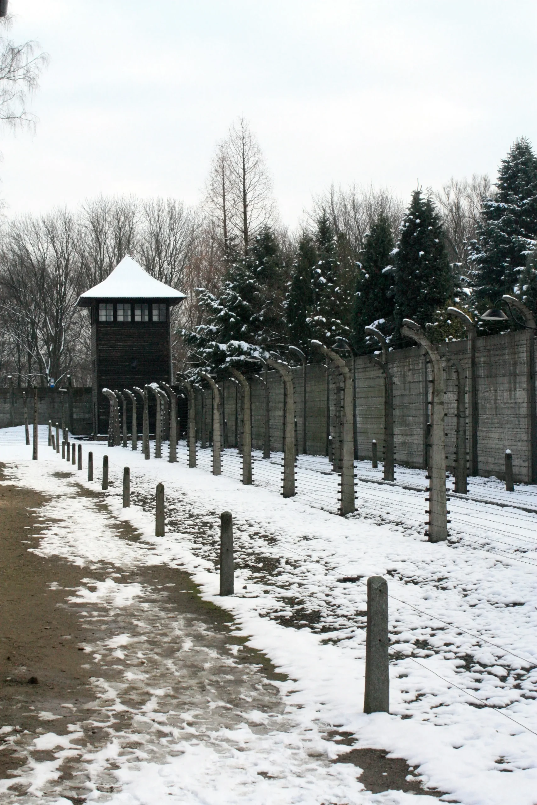 Ancestry Dna Test Poland