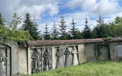 Reconnecting with Roots – from Australia to Zielona Góra