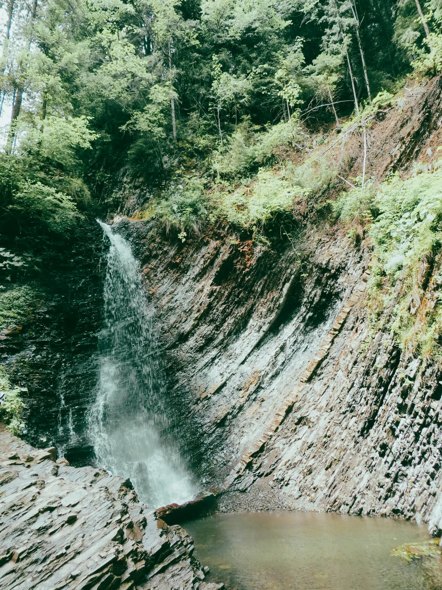 Ancestry Dna Test Poland