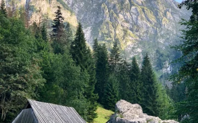 Nowy Targ poland genealogy