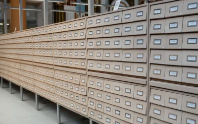 Polish birth records online