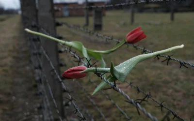 The Nazi Concentration Camp System