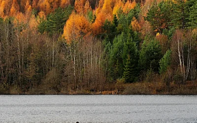 About Kashubian people