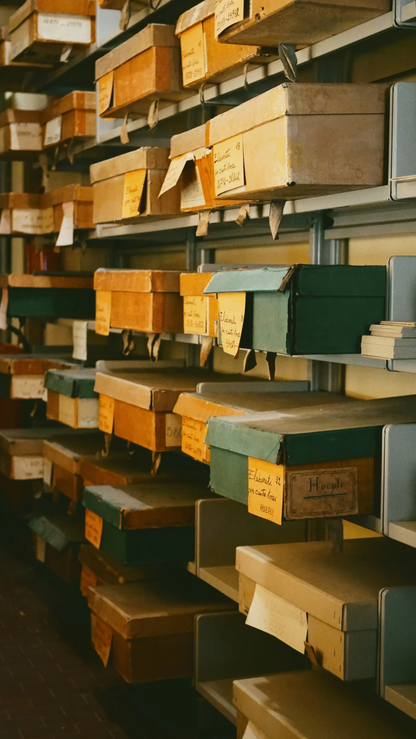 Ancestry Dna Test Poland